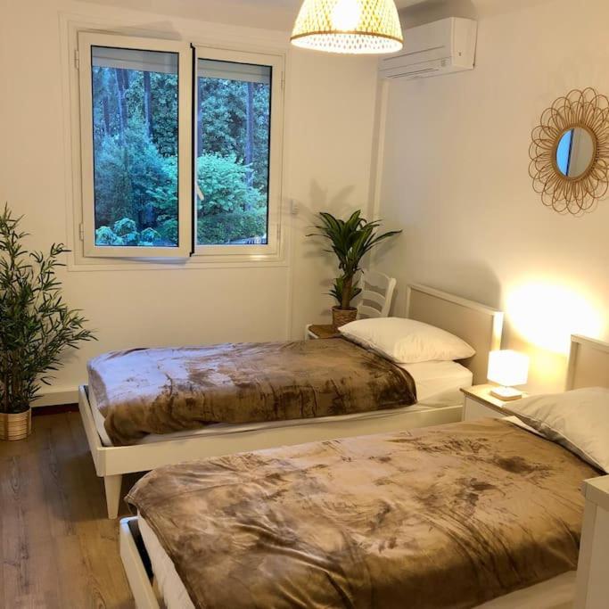 Appartamento T3 Et Festival Cannes